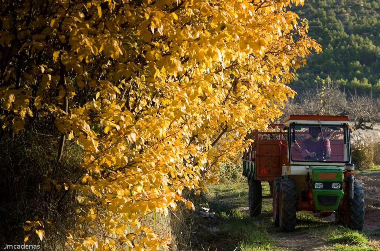 Pensjonat Casa La Nuri Utande Zewnętrze zdjęcie